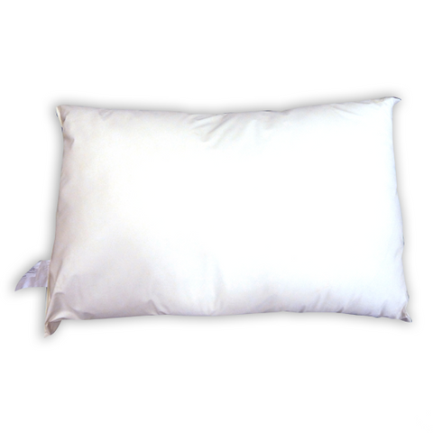 Wipeclean Pillow
