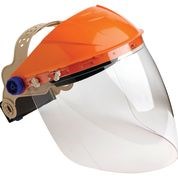 Assembled Browguard & Economy Clear Visor